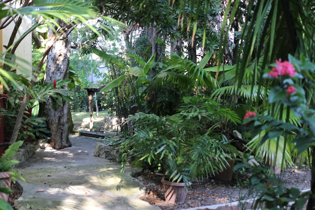Casa Kin33 Bed & Breakfast Cancún Eksteriør bilde