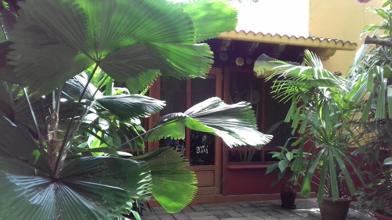 Casa Kin33 Bed & Breakfast Cancún Eksteriør bilde
